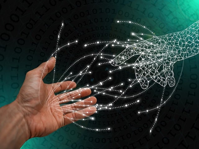 التحول الرقمي في الإمارات