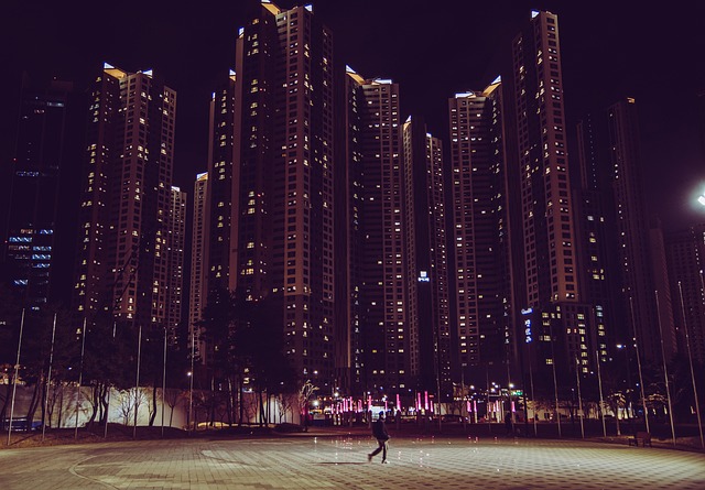 Dubai free zone